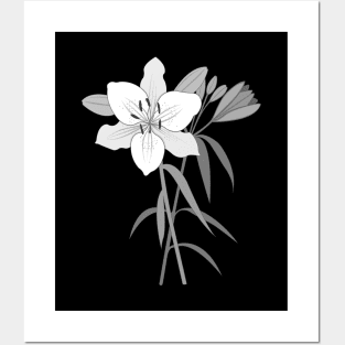 Day Lilies Illustration Monochrome Posters and Art